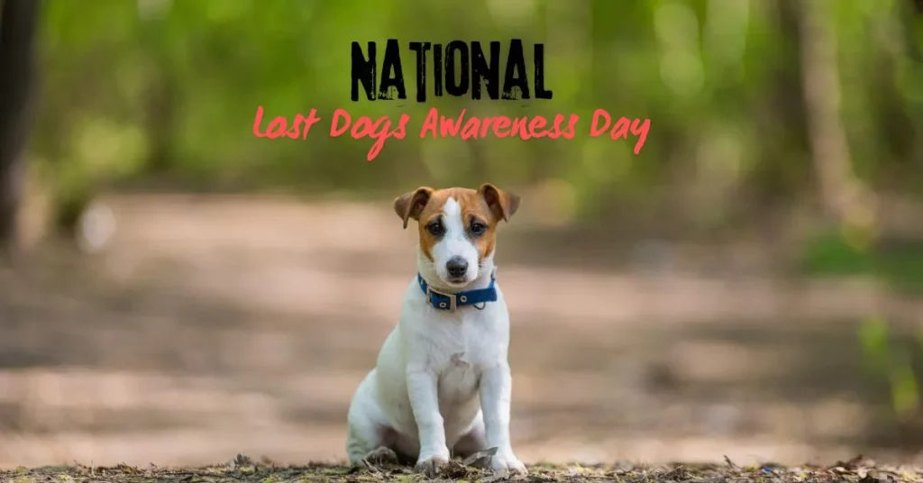 NATIONAL LOST DOG AWARENESS DAY Apr 23, 2024: How to Keep Your dogs safe and Close
