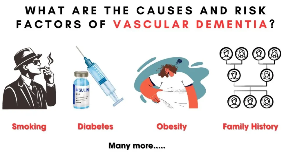 What are the Causes and Risk Factors of Vascular Dementia